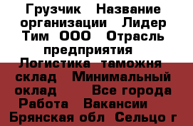 Грузчик › Название организации ­ Лидер Тим, ООО › Отрасль предприятия ­ Логистика, таможня, склад › Минимальный оклад ­ 1 - Все города Работа » Вакансии   . Брянская обл.,Сельцо г.